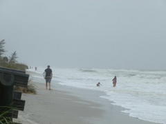 treasure island to receive $8 million for tropical storm debby damage